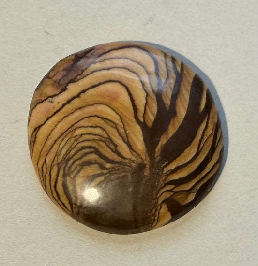Andromeda Jasper cabochon AJ-01 front view