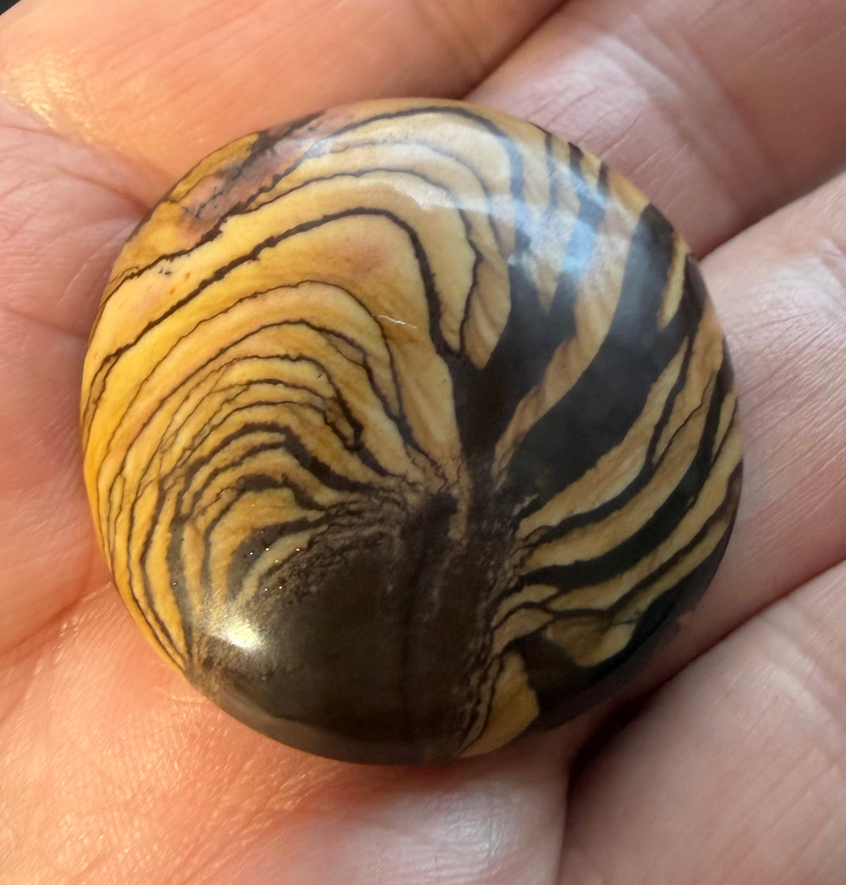 Andromeda Jasper cabochon AJ-01 in hand