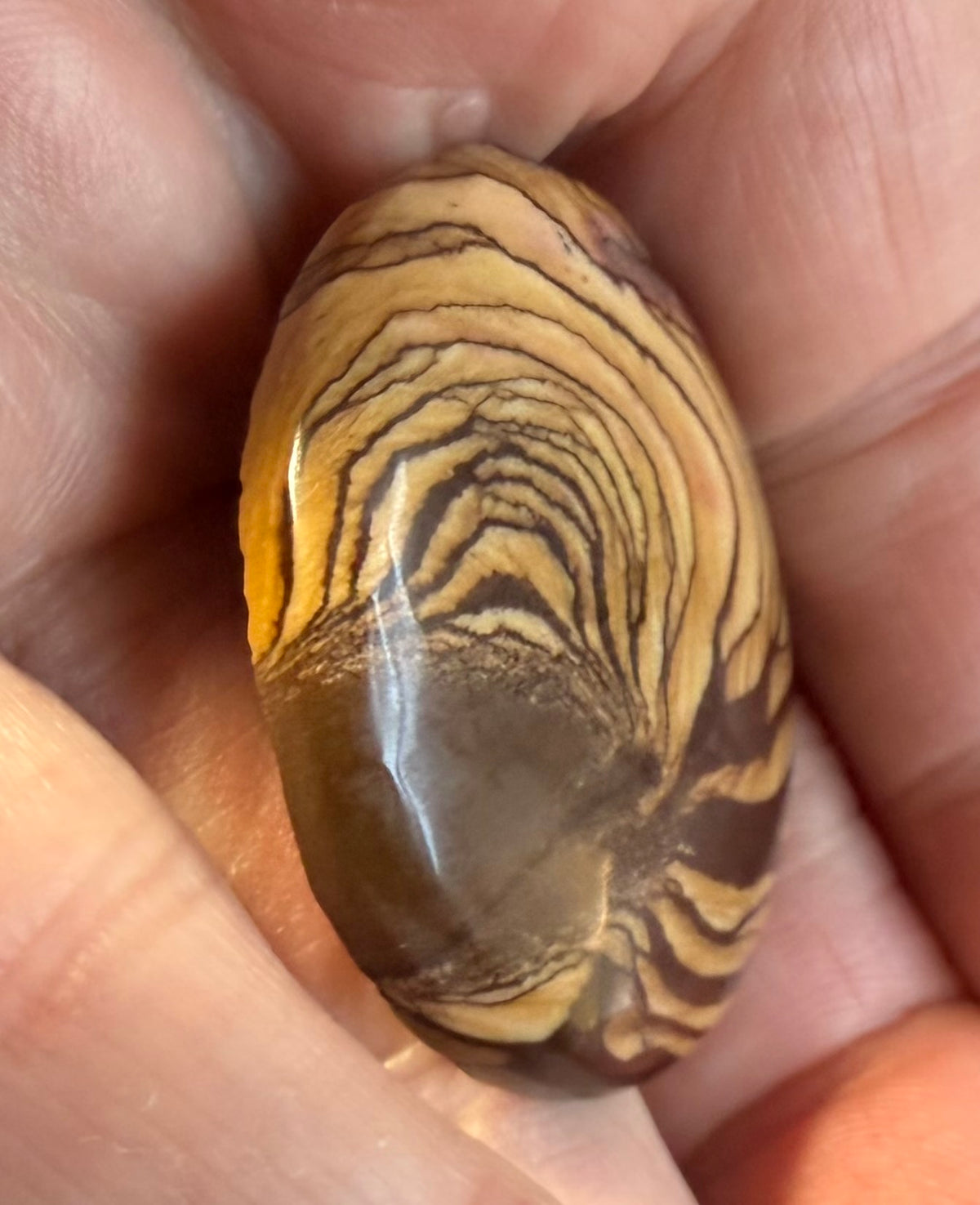 Andromeda Jasper cabochon AJ-01 side profile