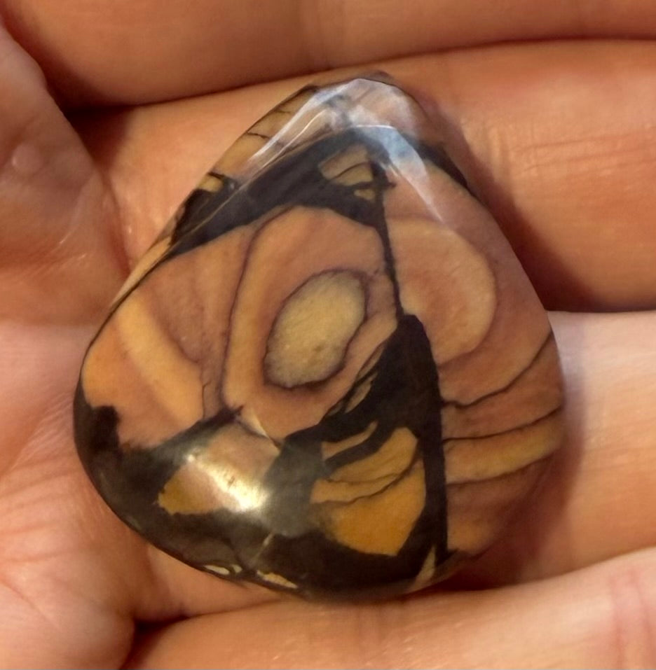 Andromeda Jasper cabochon AJ-02 in hand