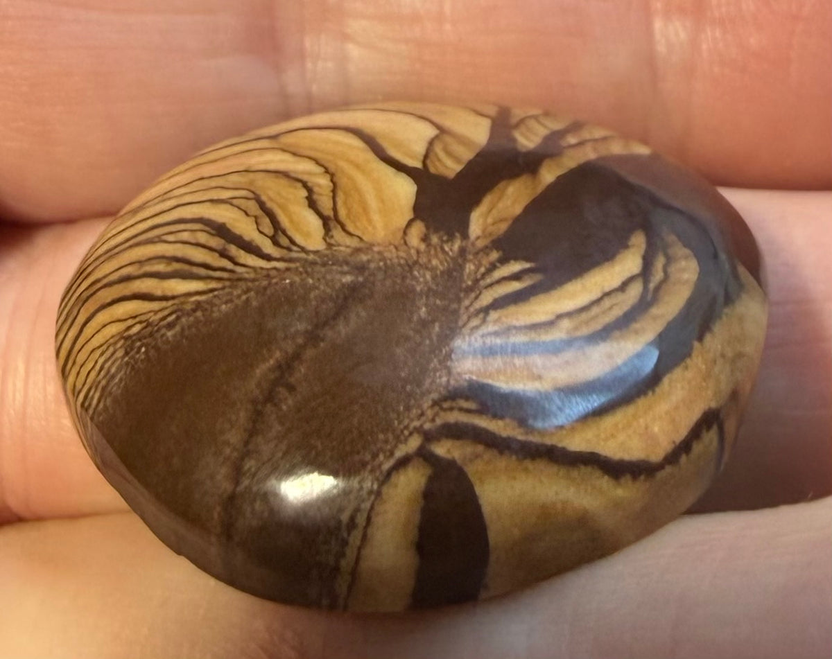 Andromeda Jasper cabochon AJ-03 side profile