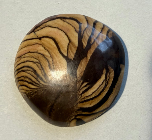 Andromeda Jasper cabochon AJ-03 on neutral background