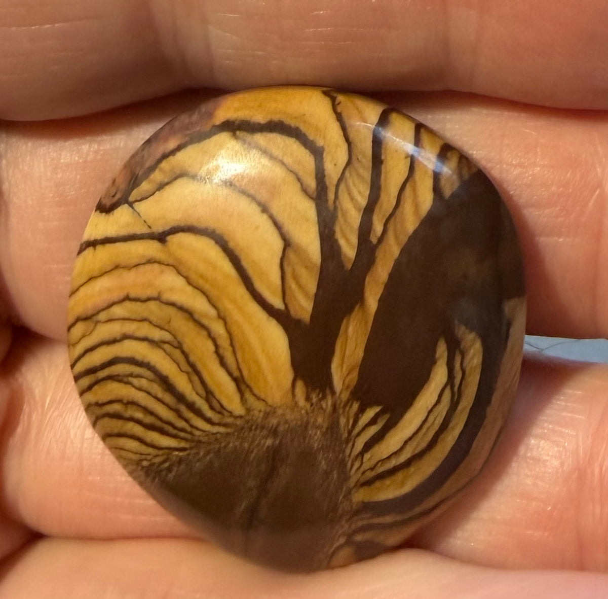 Andromeda Jasper cabochon AJ-03 in hand