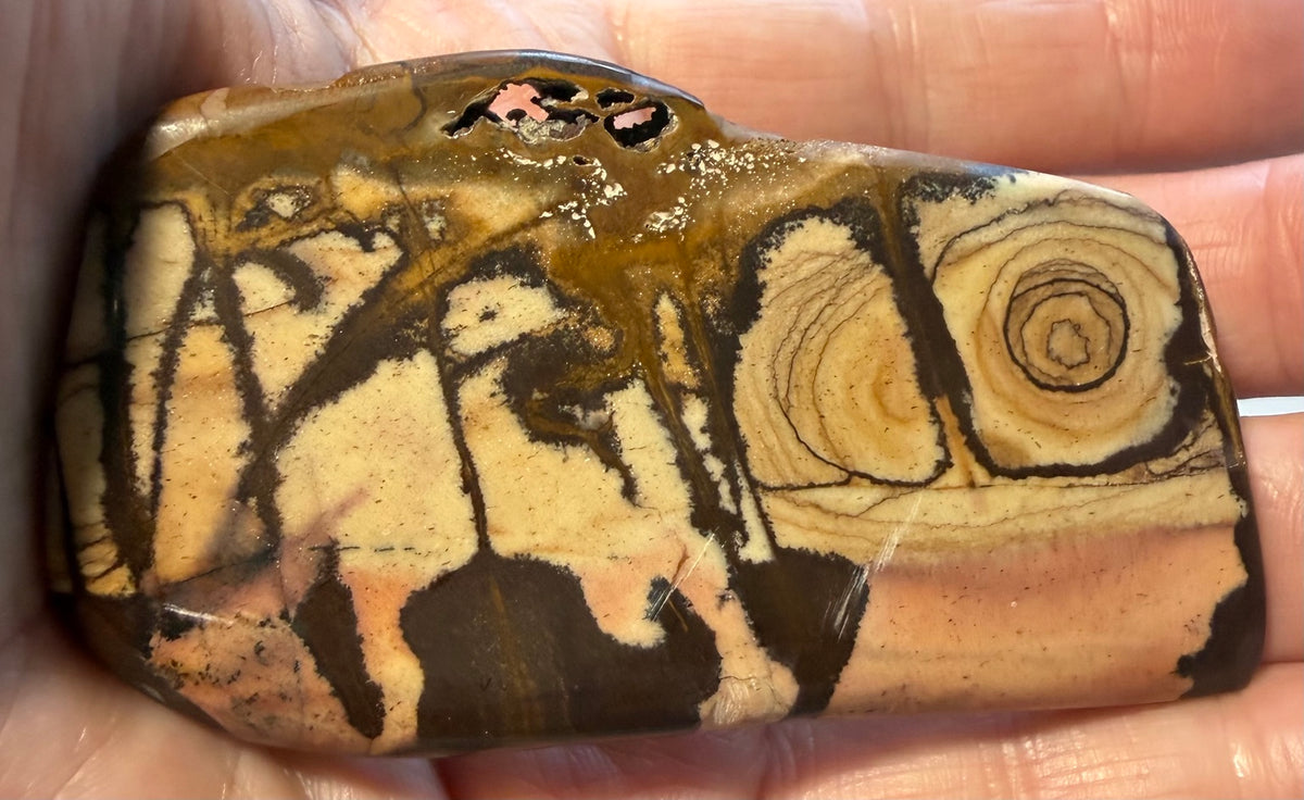 Andromeda Jasper Cyclops polished contour specimen AJ-04 back face