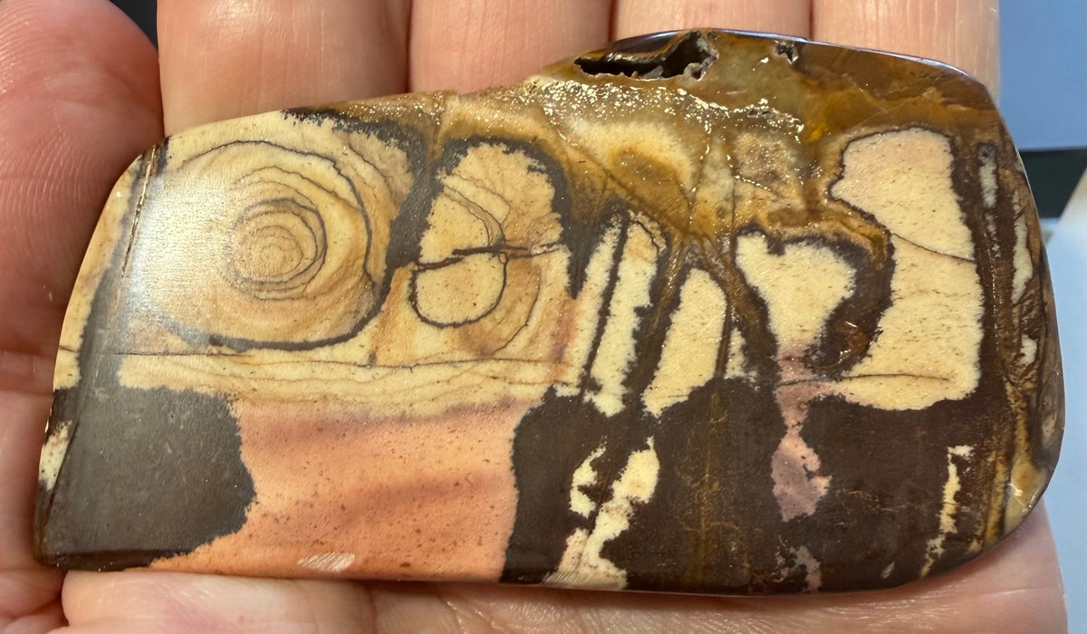 Andromeda Jasper Cyclops polished contour specimen AJ-04 in hand