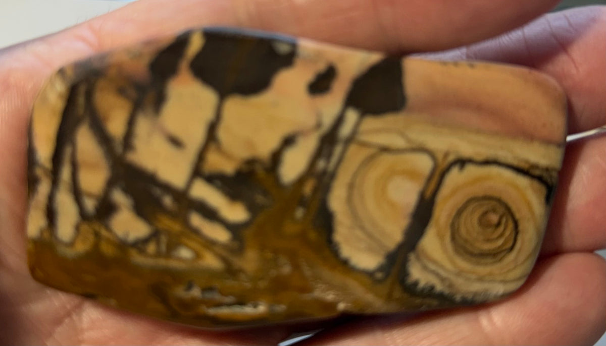 Andromeda Jasper Event Horizon polished contour specimen AJ-05 back face