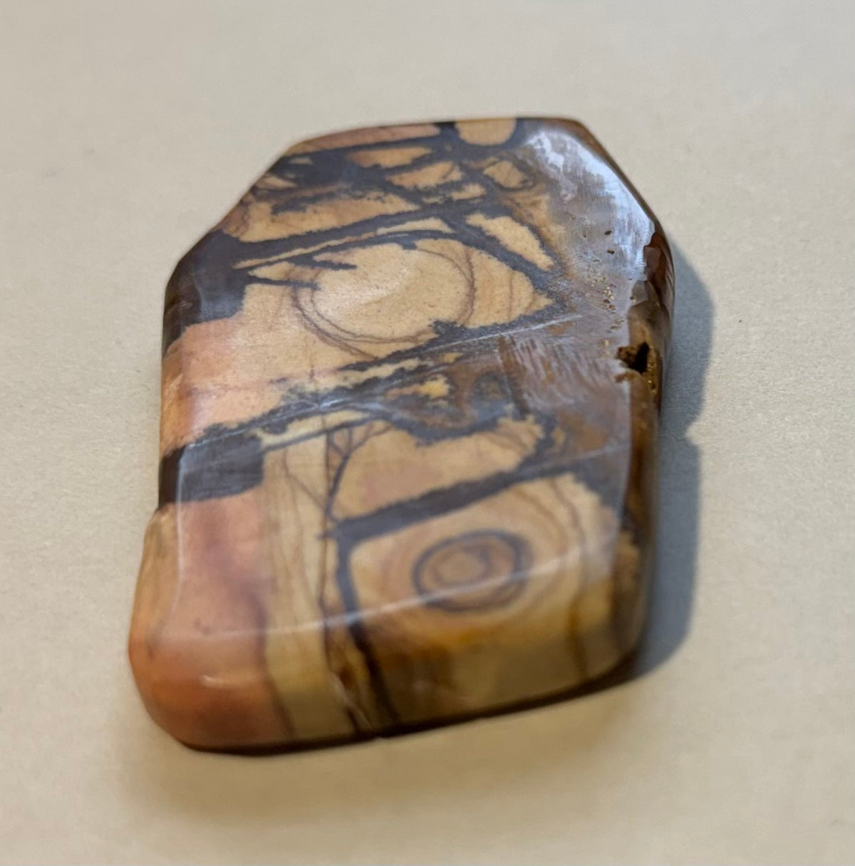 Andromeda Jasper Event Horizon polished contour specimen AJ-05 detail view