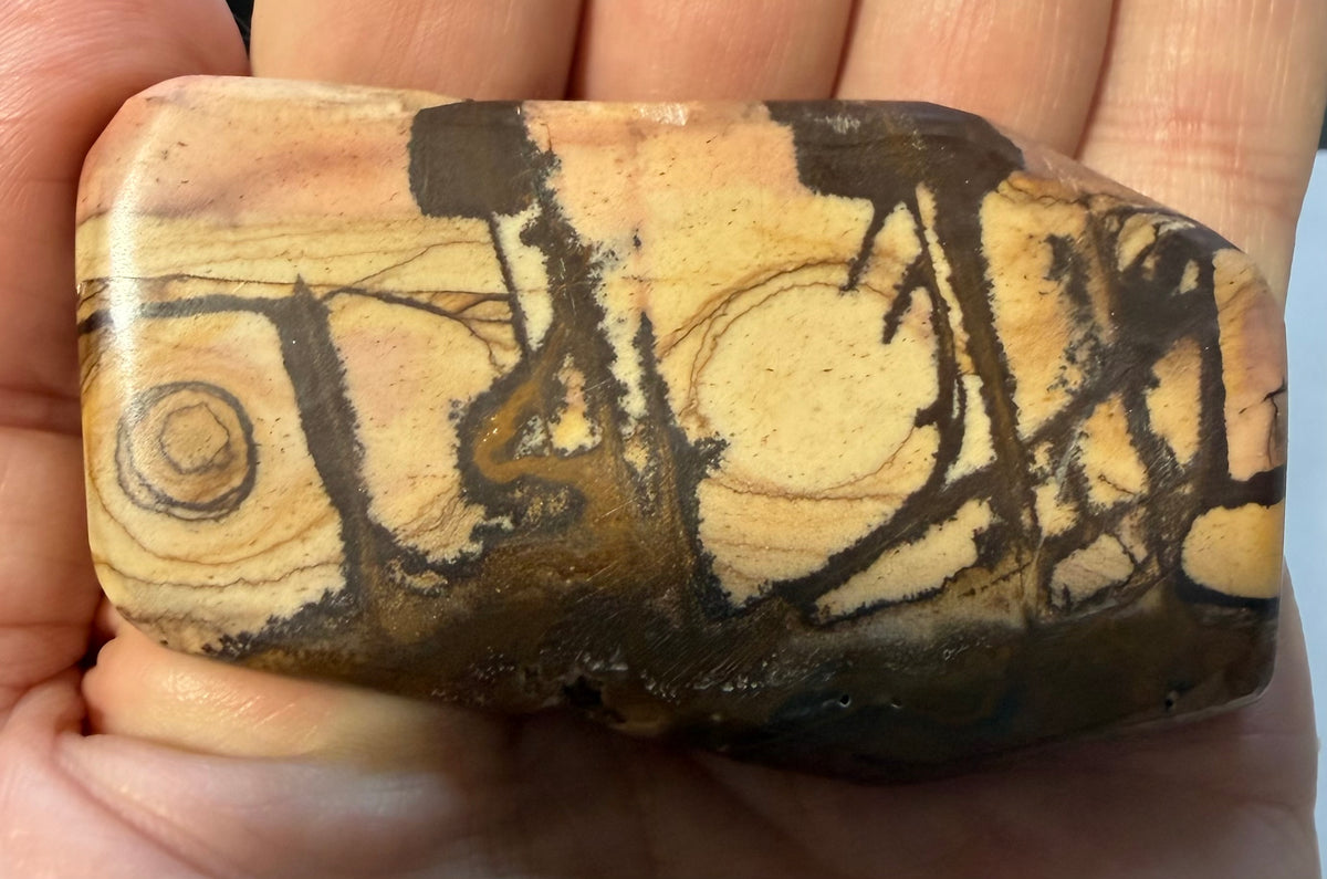 Andromeda Jasper Event Horizon polished contour specimen AJ-05 front face in hand